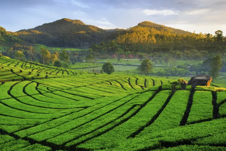 Tempat Wisata  Hits di Jawa Barat